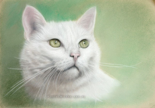 cat portrait in pastels