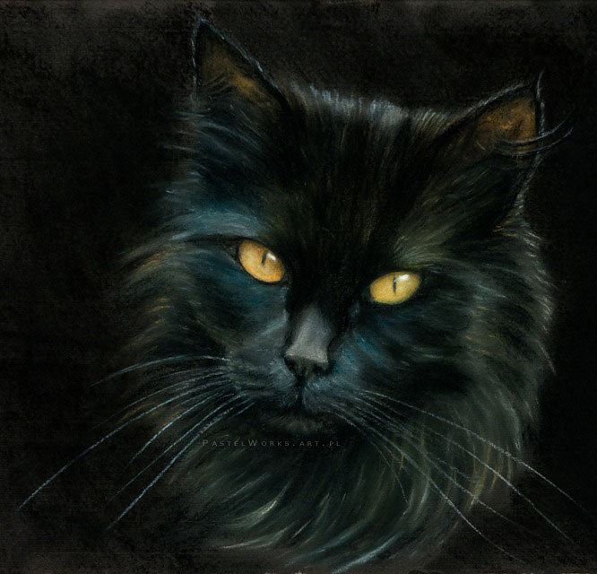 Black cat pastel