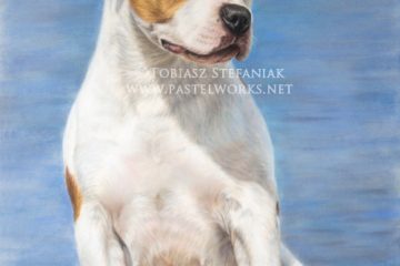 american staffordshire terrier pastel painting by tobiasz stefaniak www pastelworks net