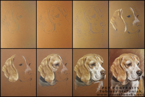 beagle drawing step by step640 www pastelworks net