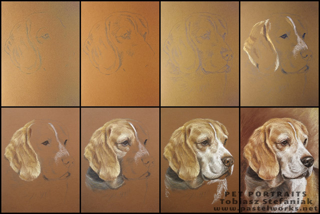 beagle drawing step by step