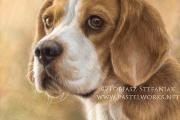 beagle pastel painting