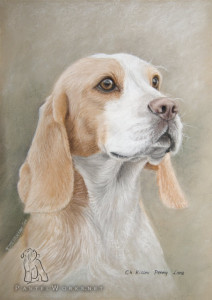 portret psa