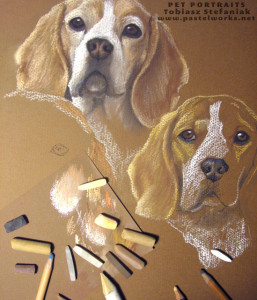 beagles in progress