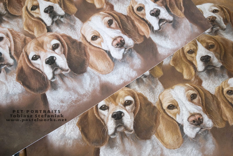 beagles painting - comaprison of original and giclee