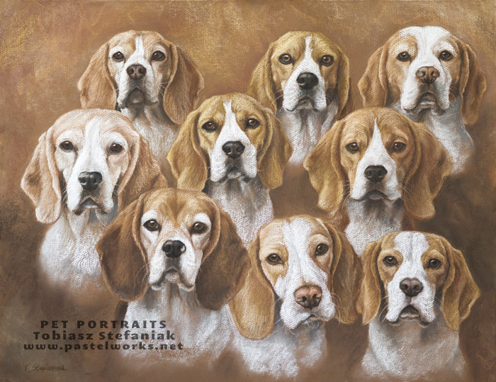 Beagles pastel painting