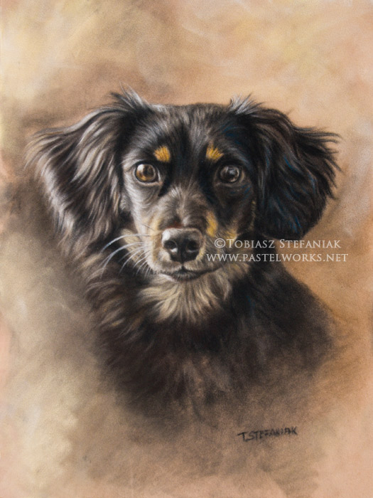 black-dog-portrait