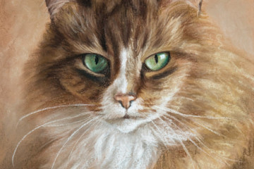 Pastel portrait of cat