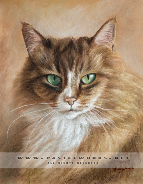 Pastel portrait of cat 