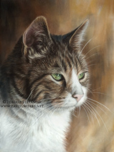 cat pastel portrait