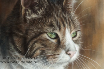 cat pastel portrait