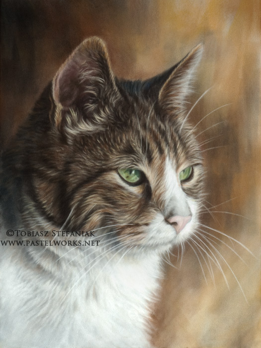 pastelowy portret kota