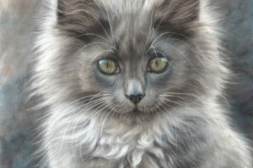 cat portrait pastel