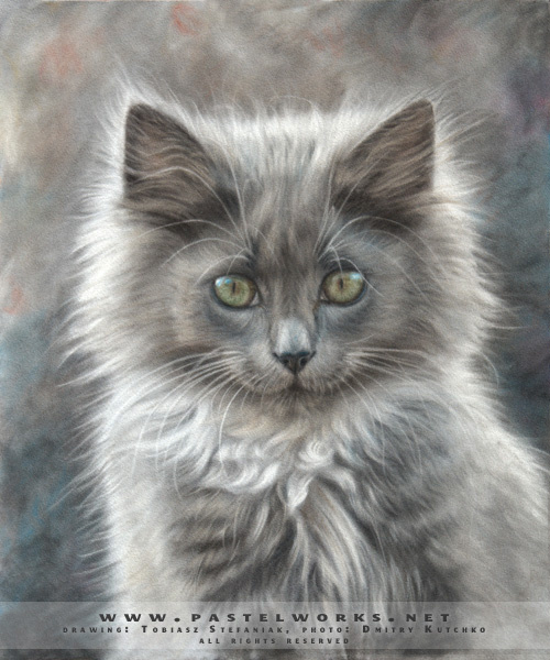 cat portrait pastel