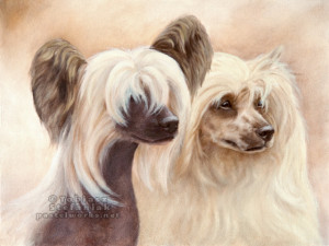 chinese crested painting1