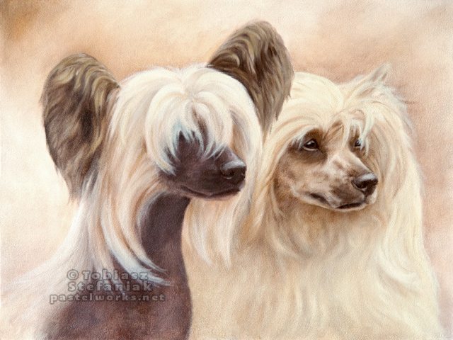 chinese-crested-painting