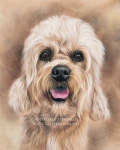 dandie dinmont terrier painting by tobiasz stefaniak www pastelworks net