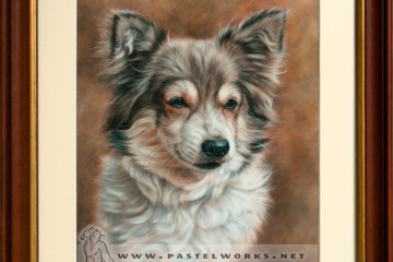 dog portrait pastel framed