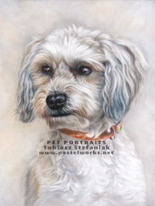 fluffy doggy in soft pastel