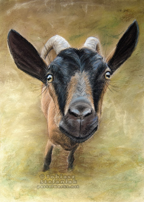 goat-pastel