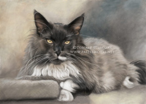 maine coon pastel painting