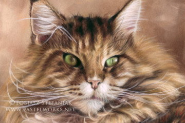 mainecoon cat painting