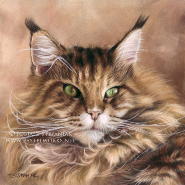 maine coon cat painting