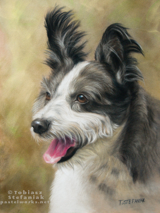 pastel-dog-portrait