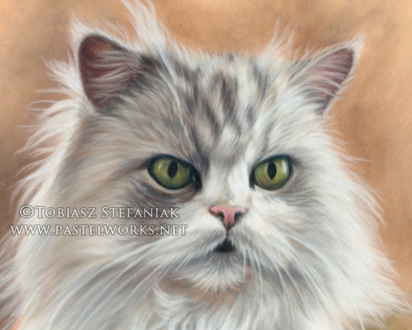 persian cat painting pastel  close-up