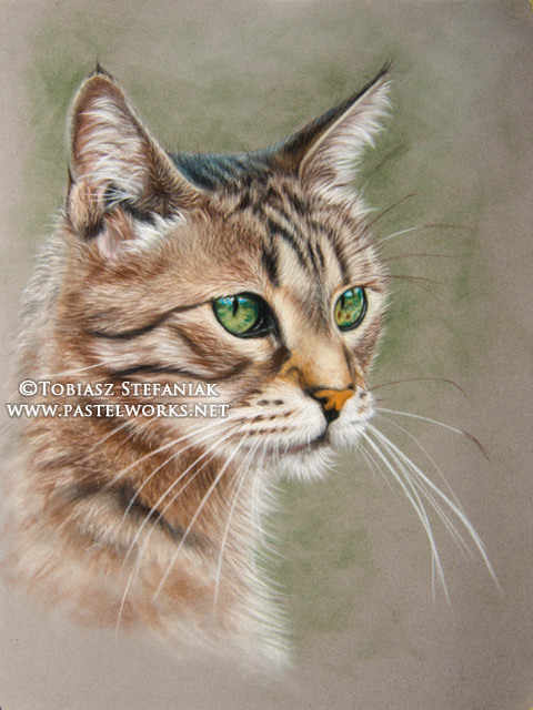 pastel cat portrait
