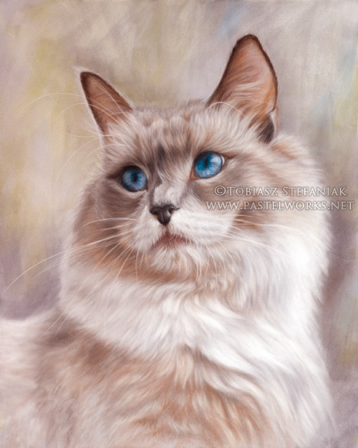 ragdoll cat painting