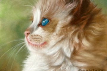 ragdoll cat pastel1