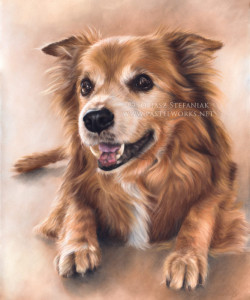 pastel drawing of old dog