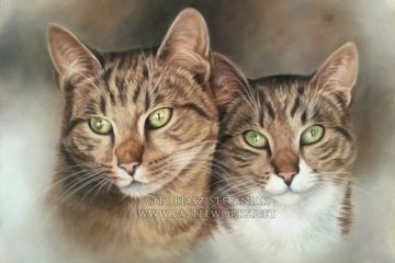 two cats in soft pastel by tobiasz stefaniak www pastelworks net