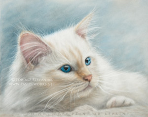 white cat pastel
