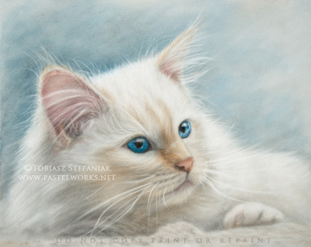 White cat drawing