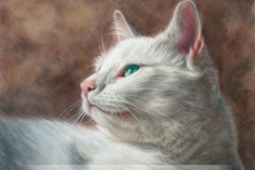 white cat pastel1